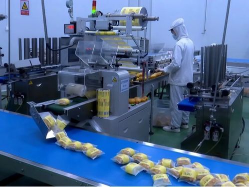 英吉沙食品企業(yè)沖刺新年開門紅 全力保障食品生產供應