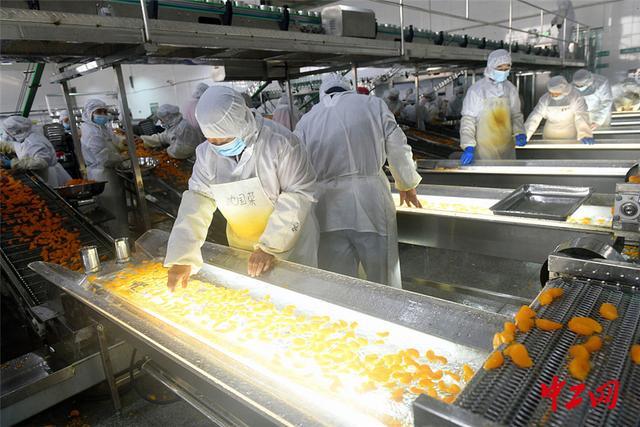 湖北宜昌 柑橘加工企業(yè)生產(chǎn)忙 推動(dòng)食品產(chǎn)業(yè)升級(jí)