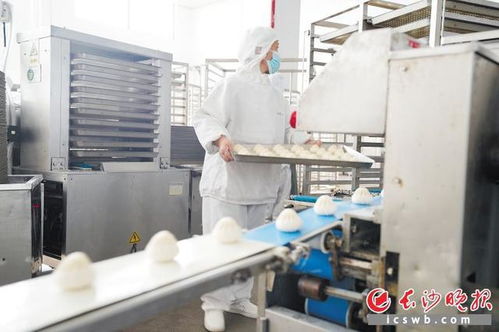 自動(dòng)化長(zhǎng)龍舞動(dòng)星城 長(zhǎng)沙食品企業(yè)開(kāi)足馬力忙生產(chǎn)